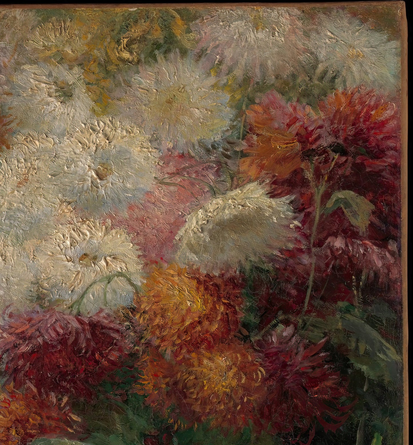 Chrysanthemums in the Garden at Petit-Gennevilliers