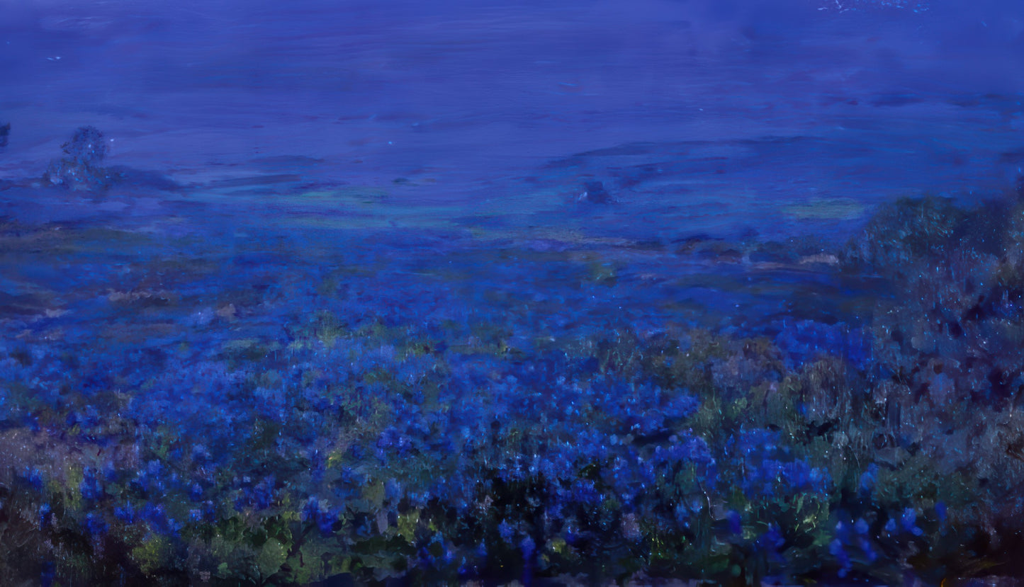 Bluebonnets in Texas