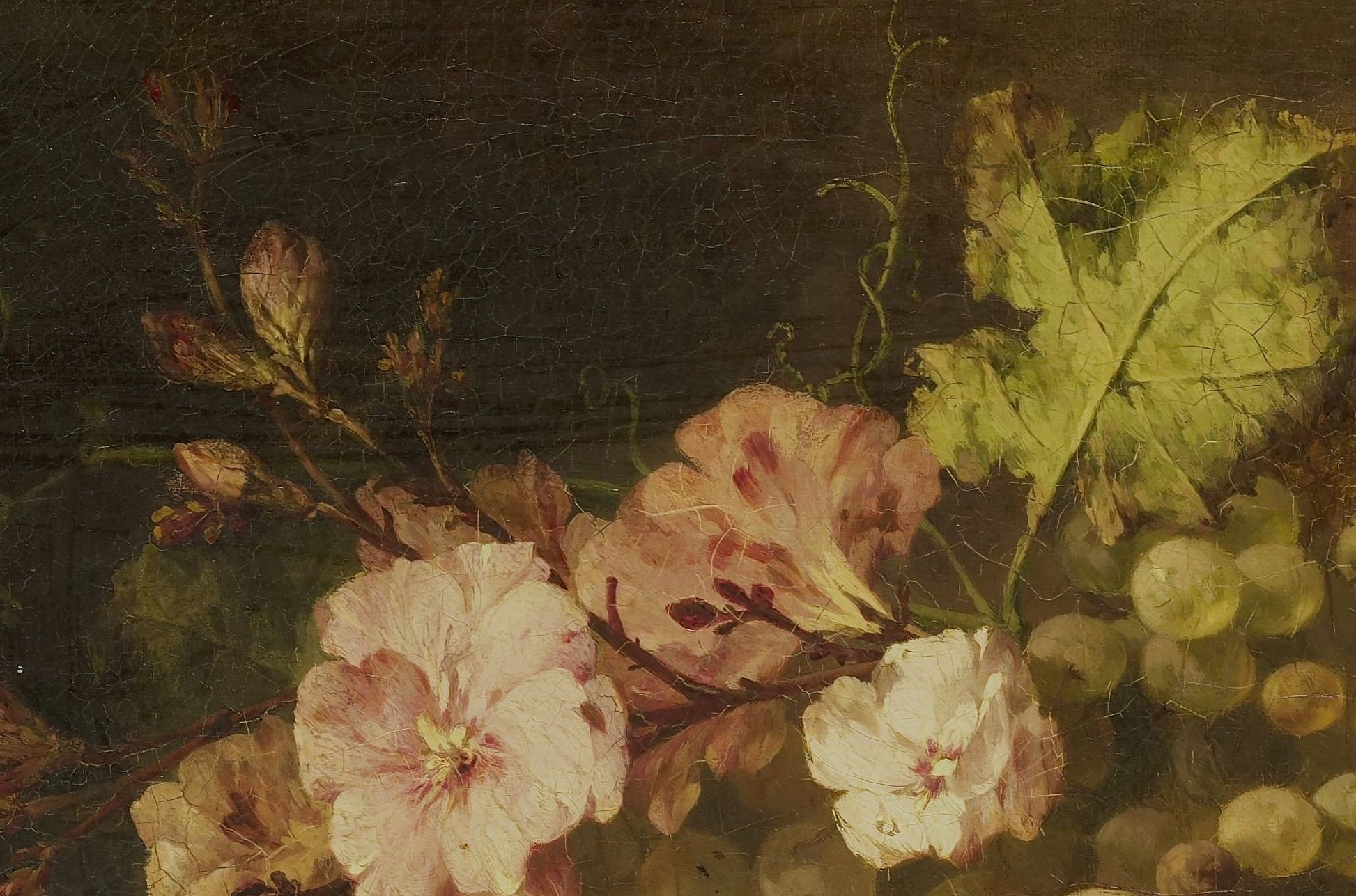 Still Life With Grapes