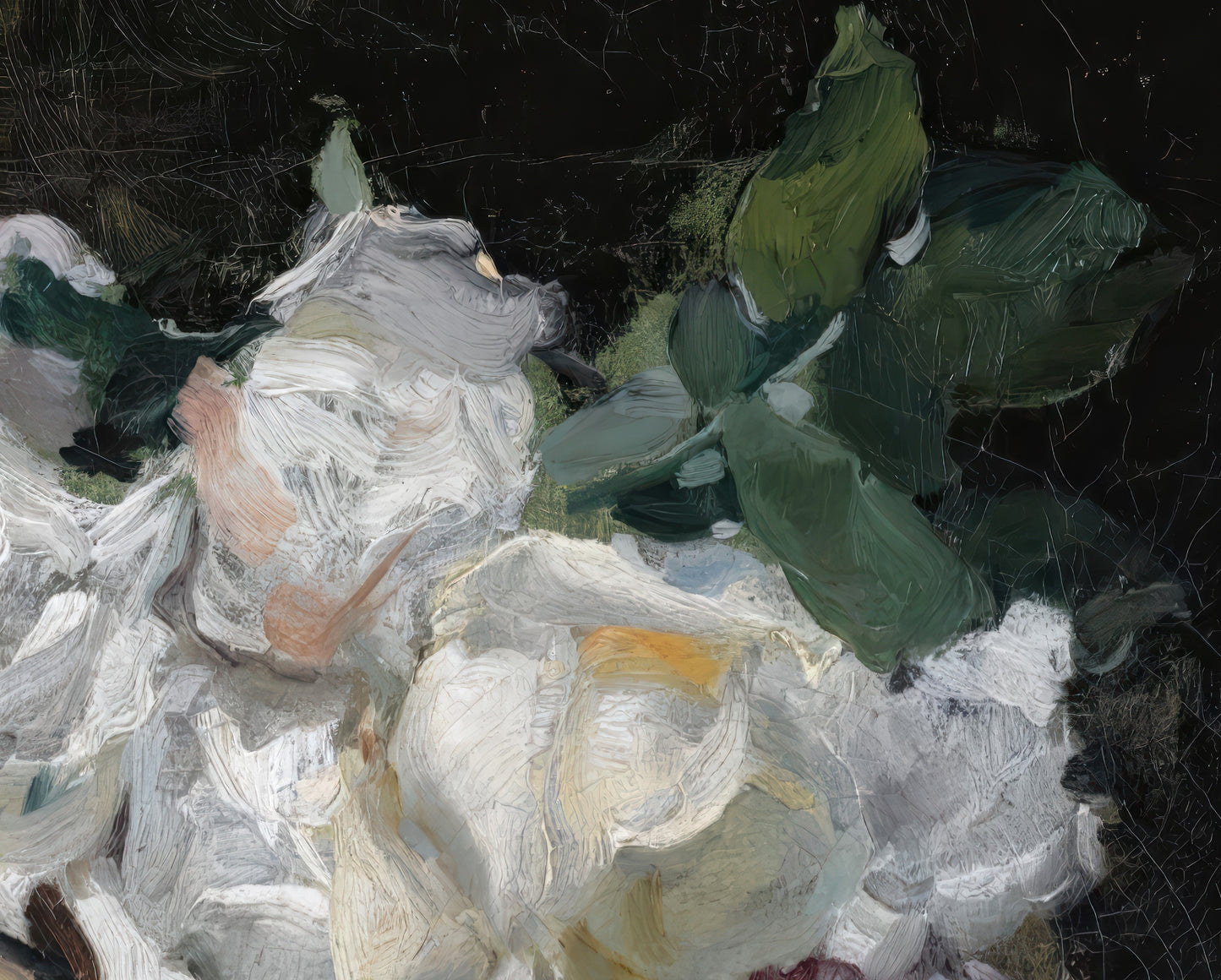 Bouquet of White Roses