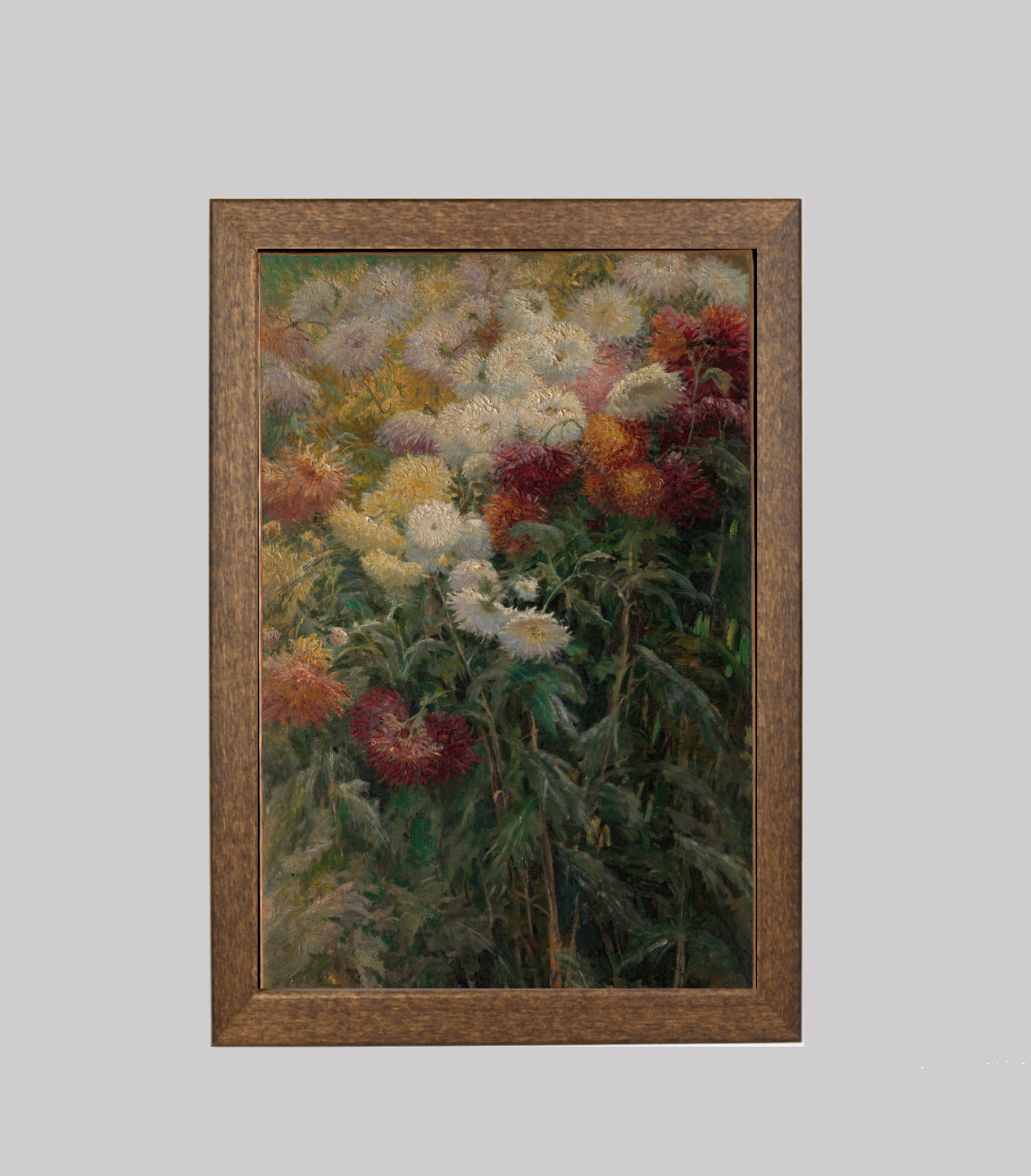 Chrysanthemums in the Garden at Petit-Gennevilliers