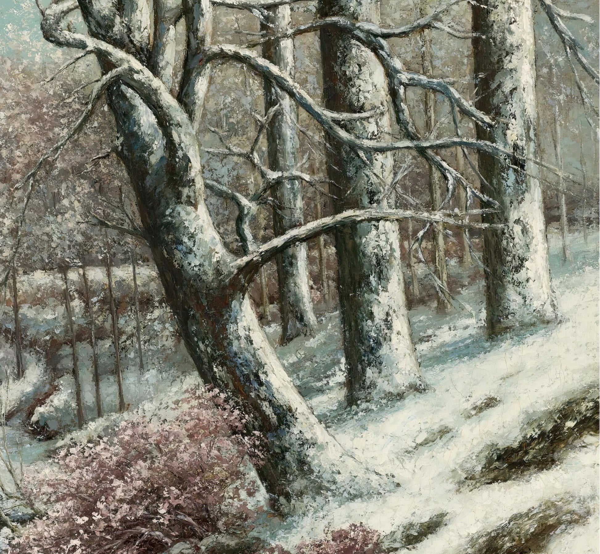 The Forest in Winter