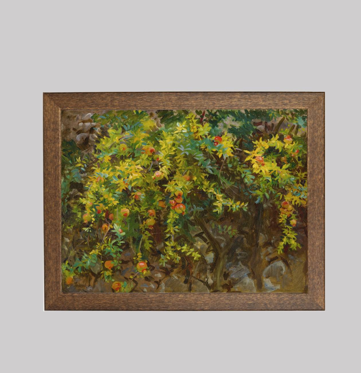 Pomegranates, Majorca