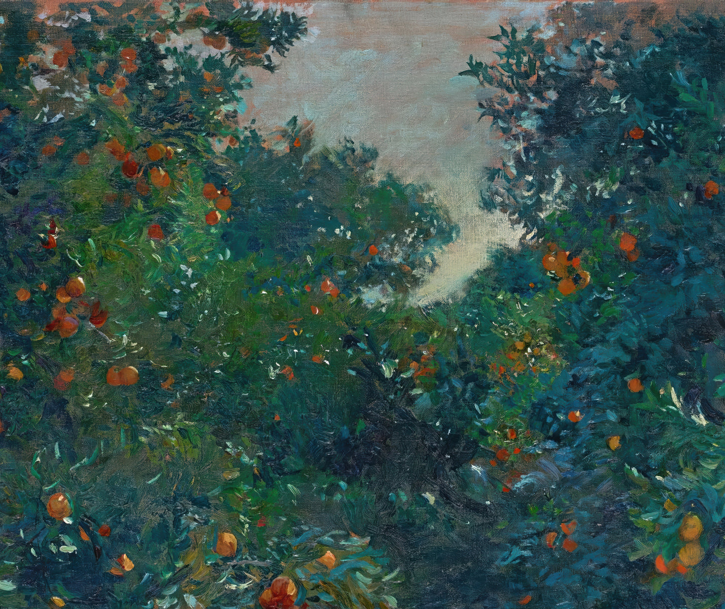 Orange Trees in Alcira