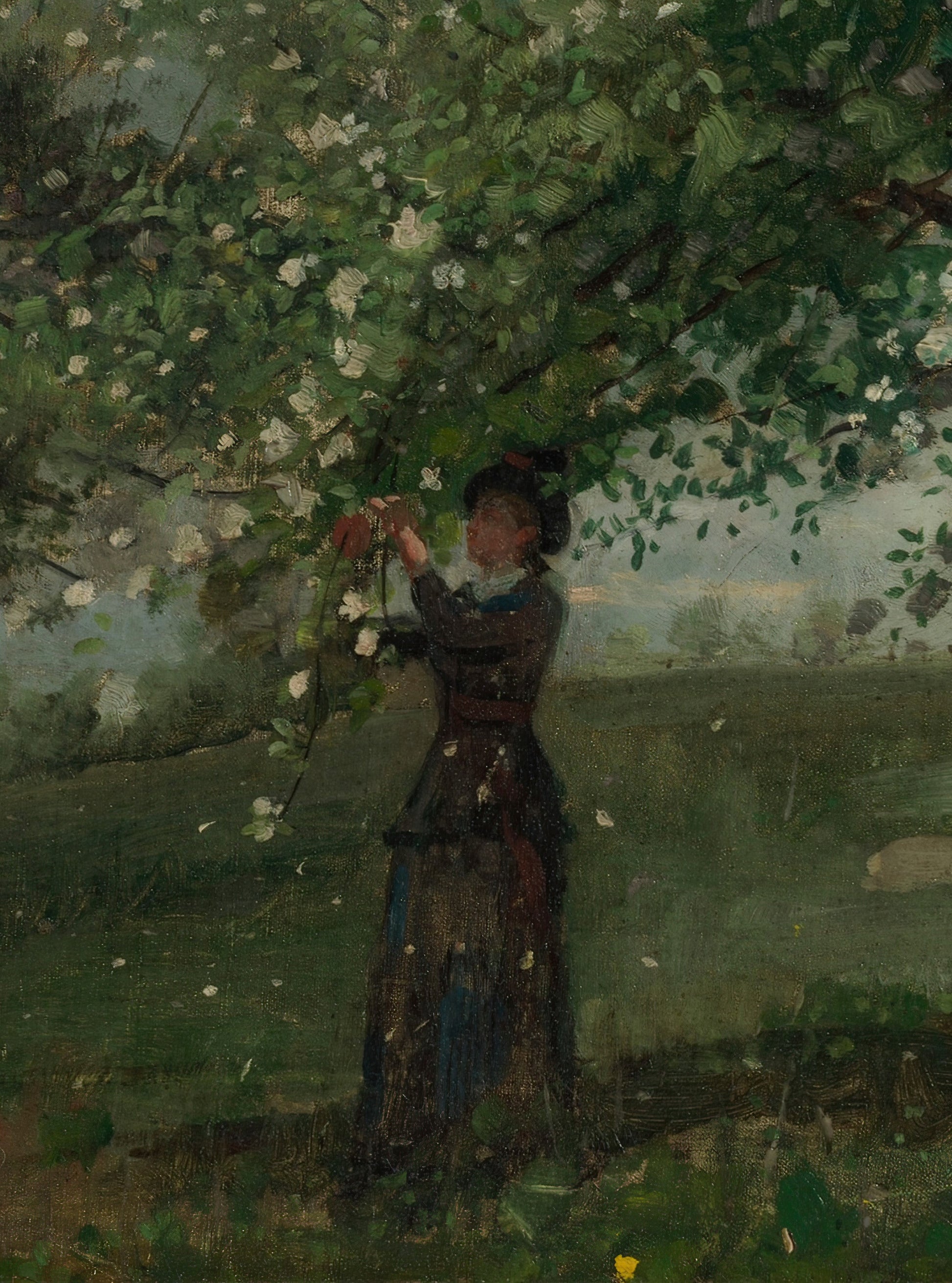 Girl Picking Apple Blossoms