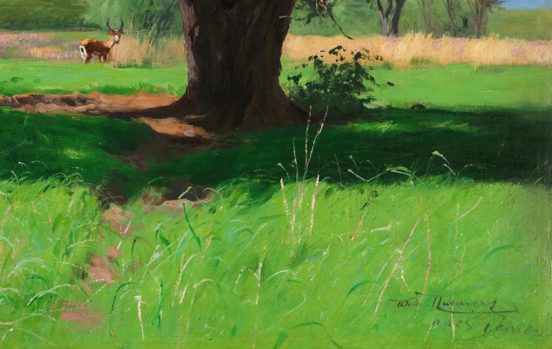 In the African Savannah