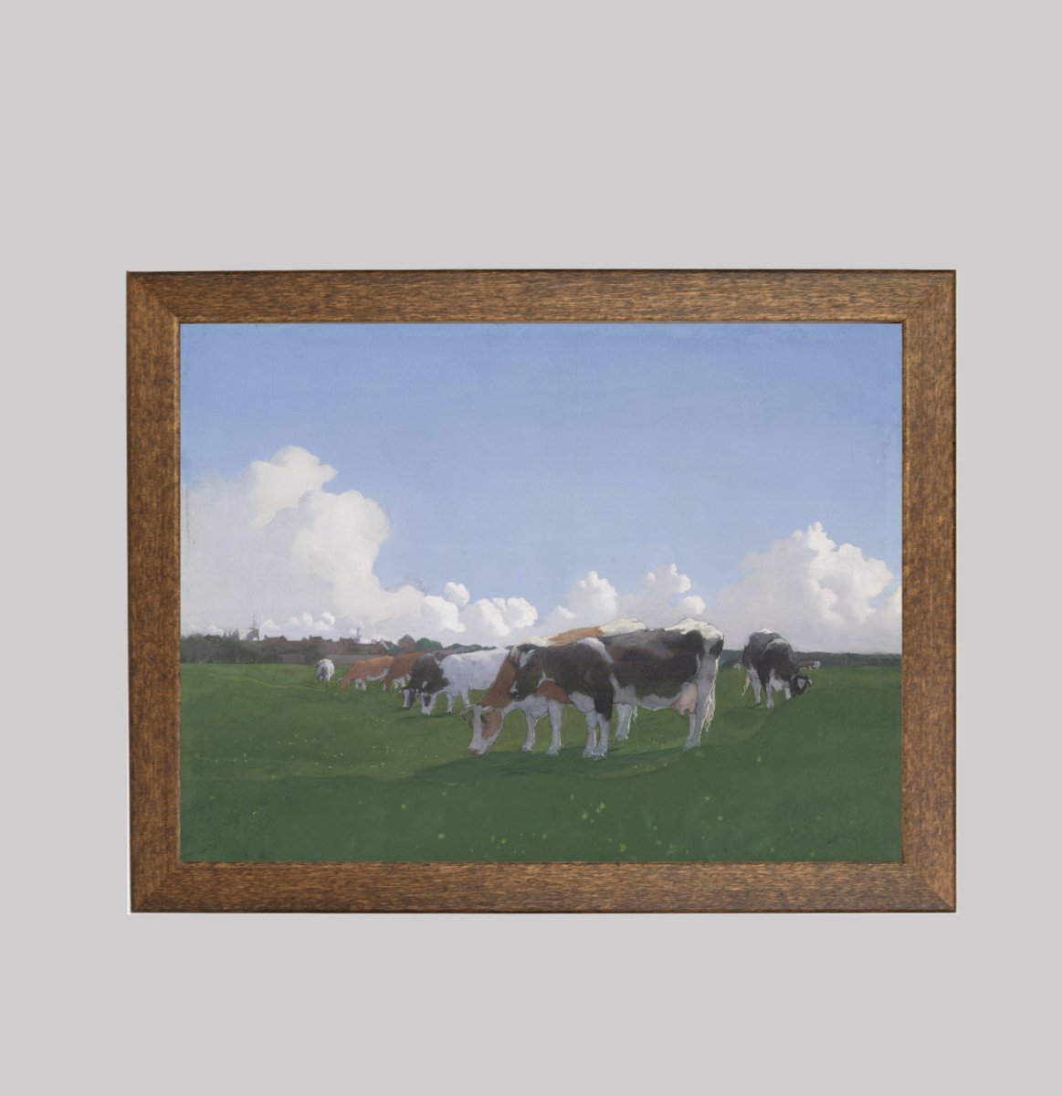 Grazing Cows in a Meadow