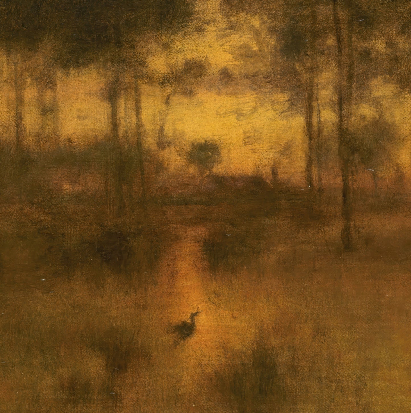 The Home of the Heron