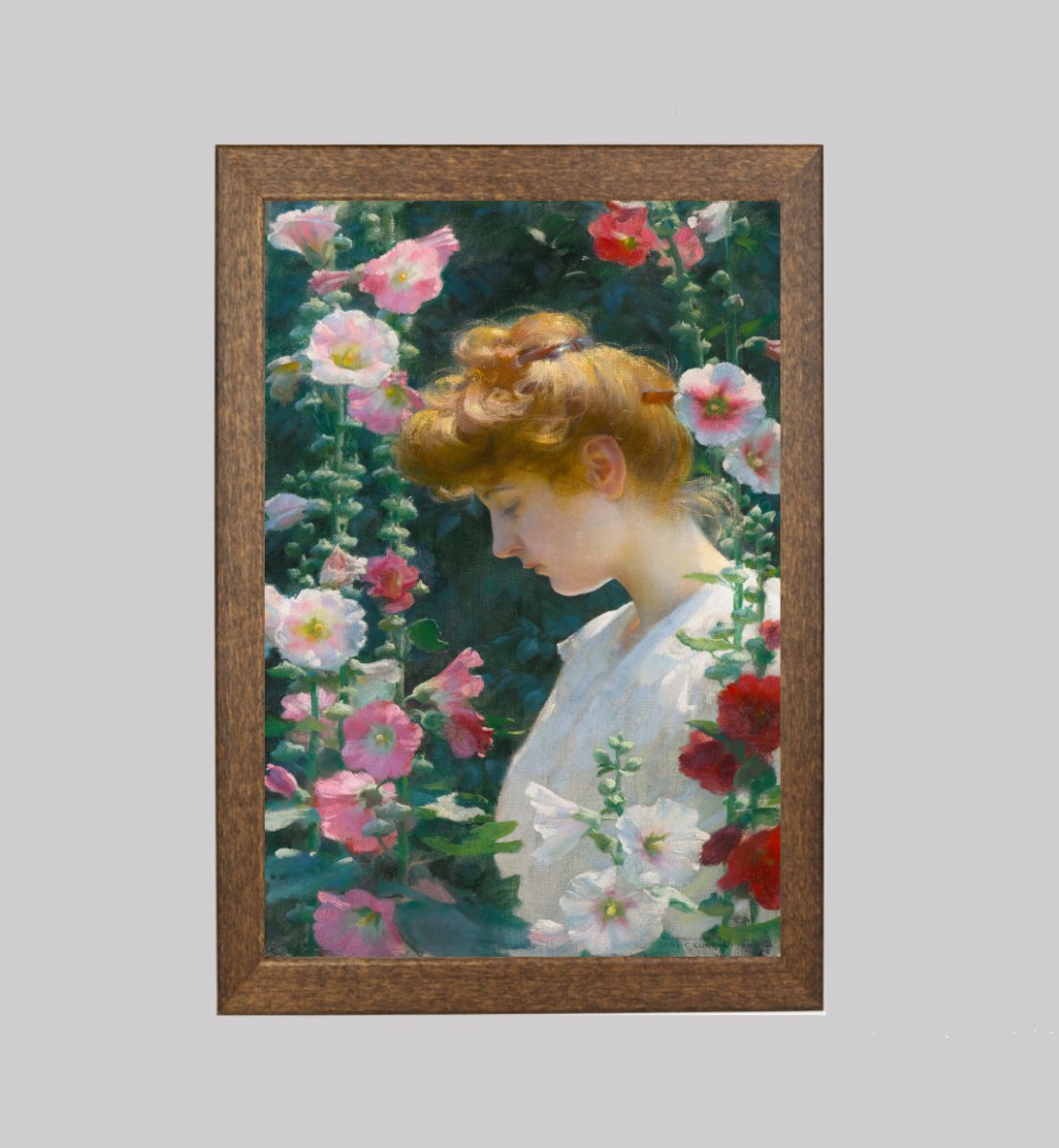 Hollyhocks and Sunlight