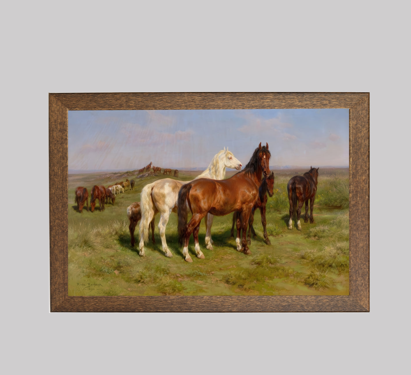 Horses in a Field