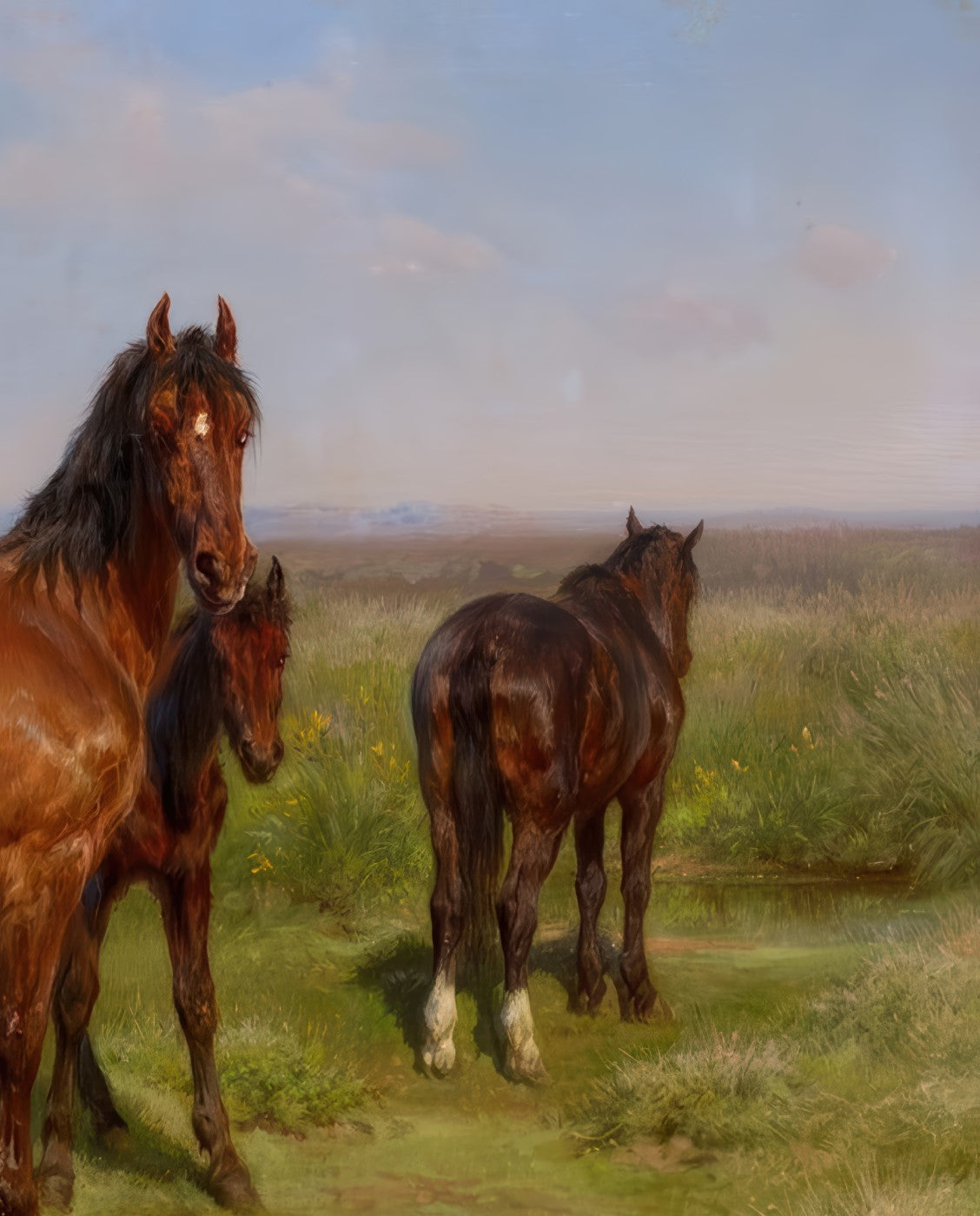 Horses in a Field