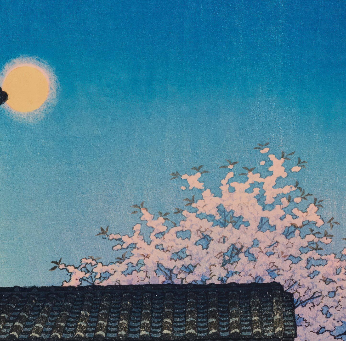 Full Moon over Matsuyama Castle