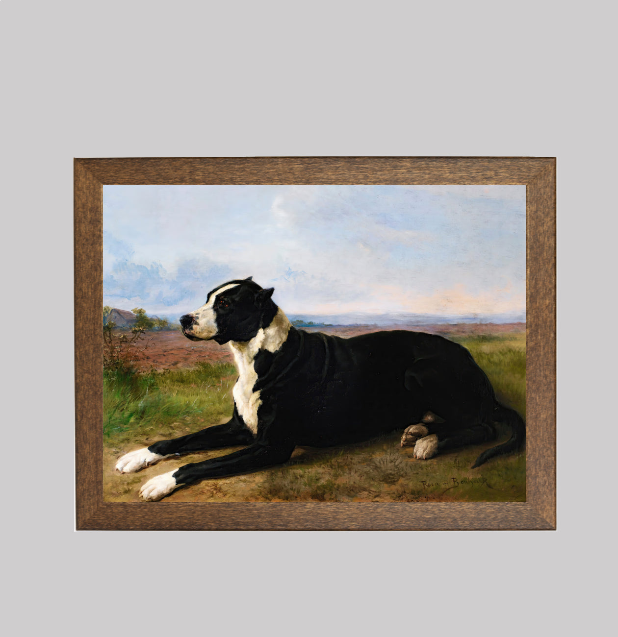 Portrait of a Mastiff-Labrador