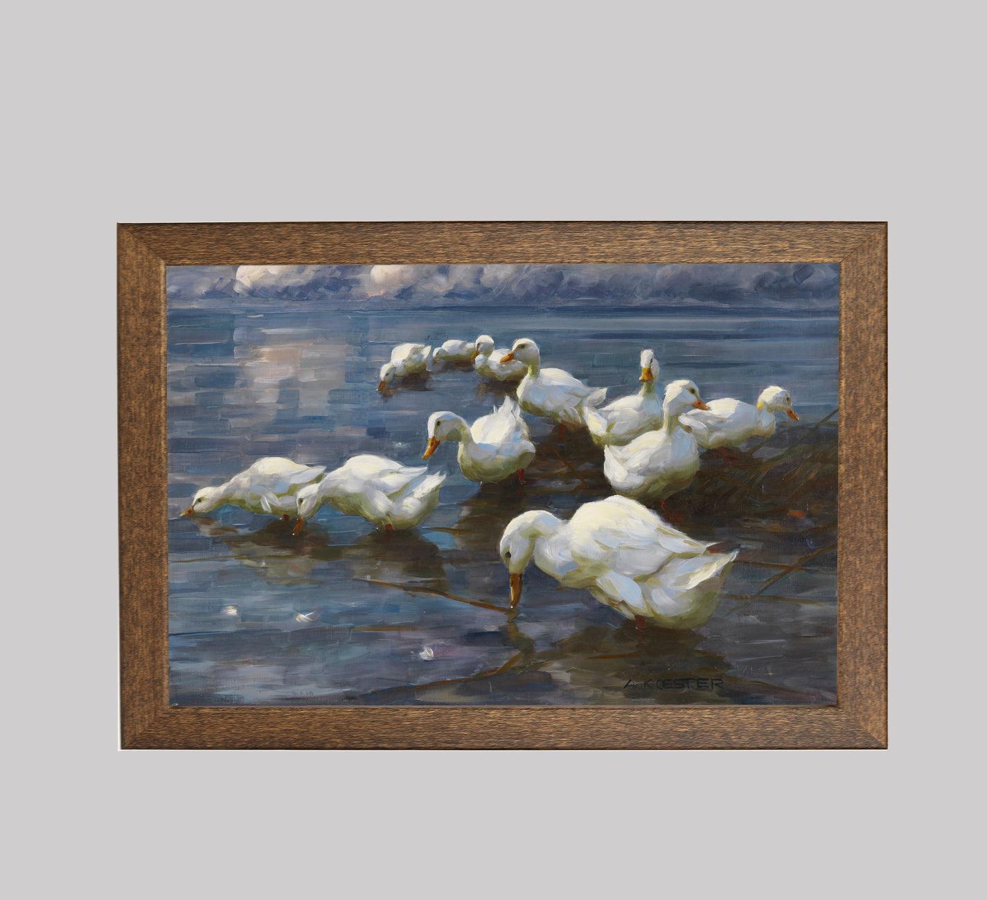 Ducks on the Lakeshore