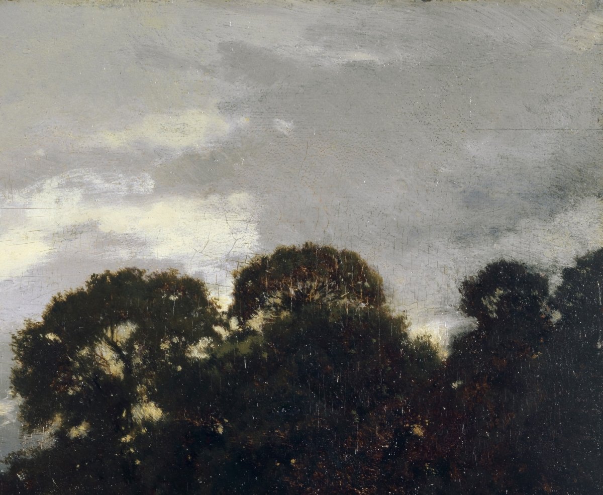 Landscape with Trees