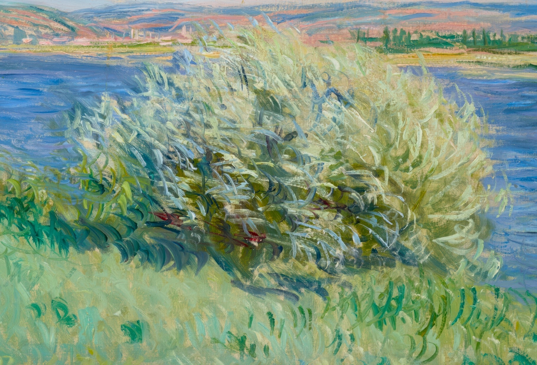 The Banks of the Seine Near Vétheuil