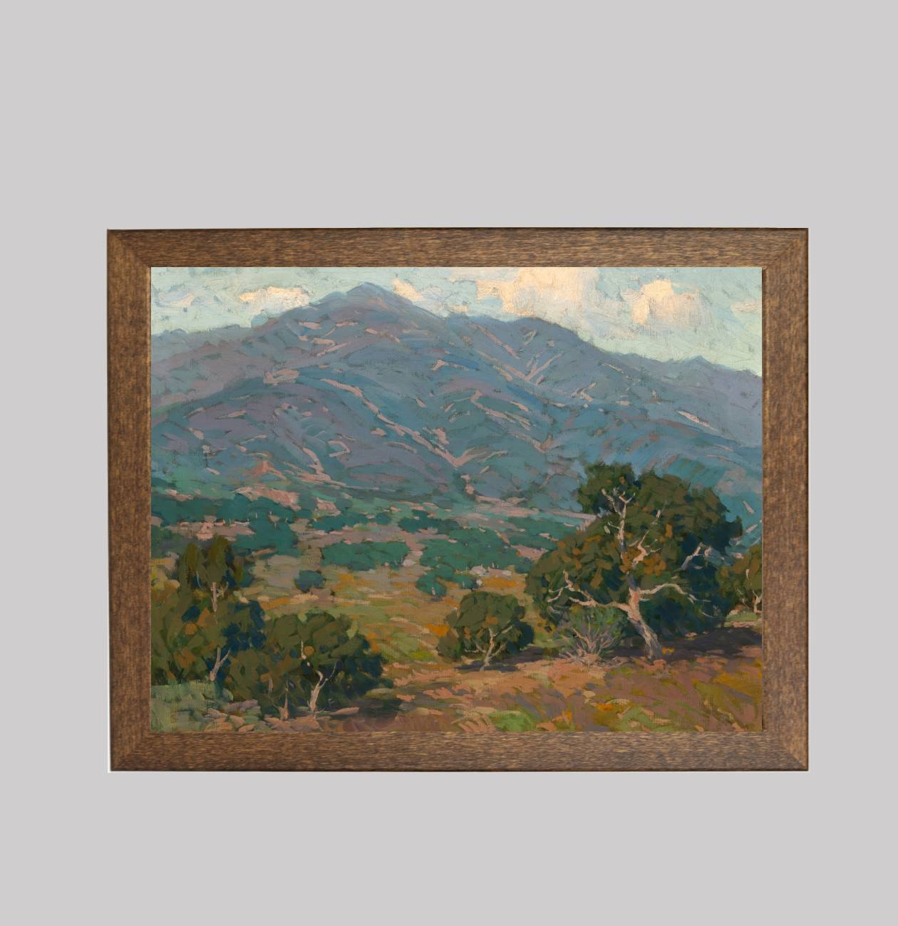 California Foothills with San Gabriel Mountains in the Distance