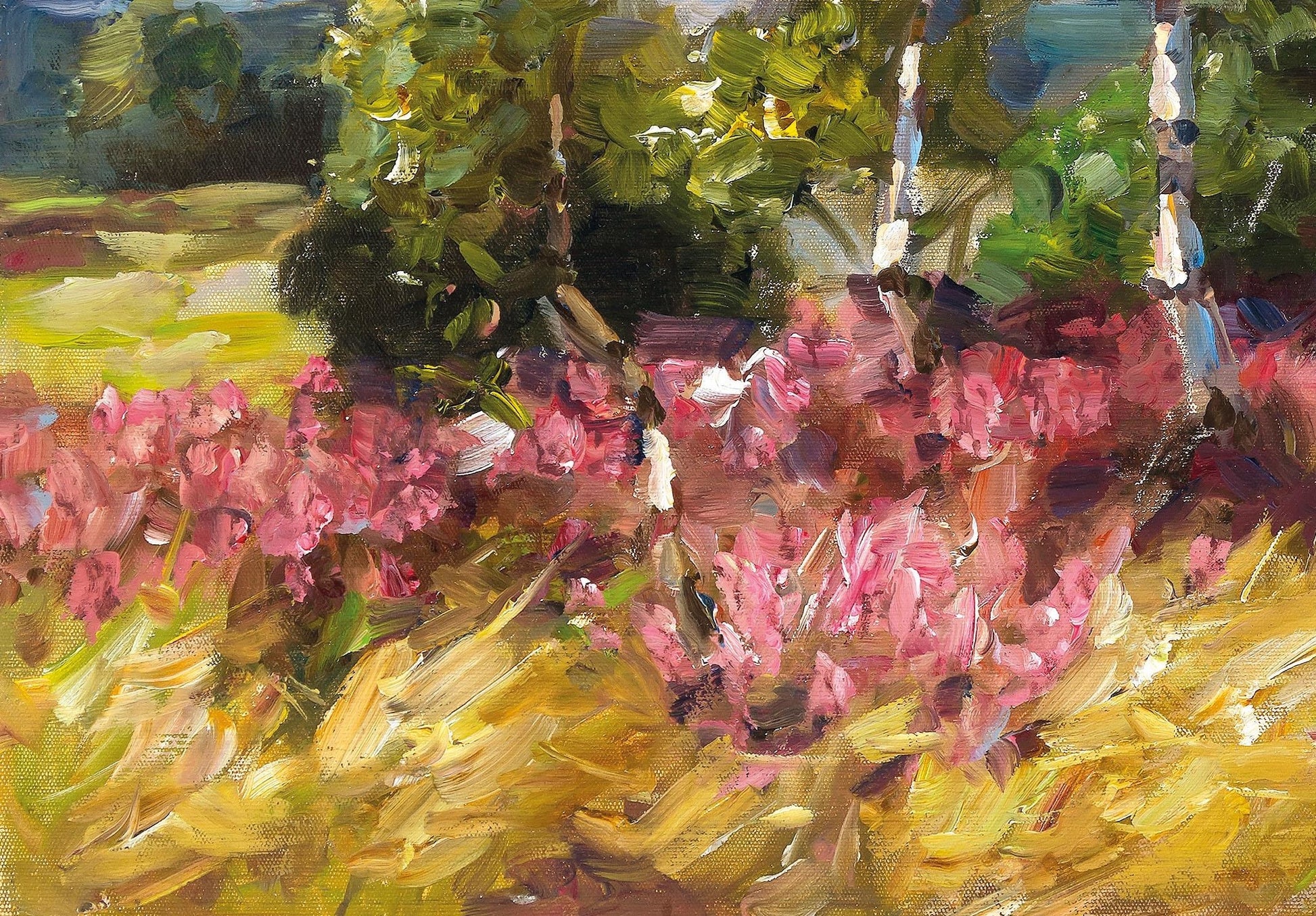 Birches in a Heath Landscape