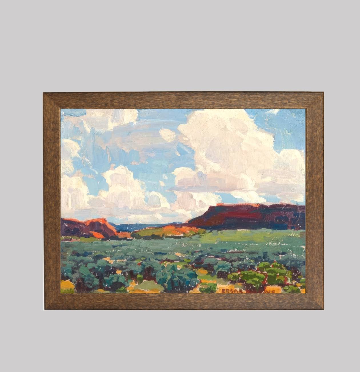 Red Mesa and Thunderheads