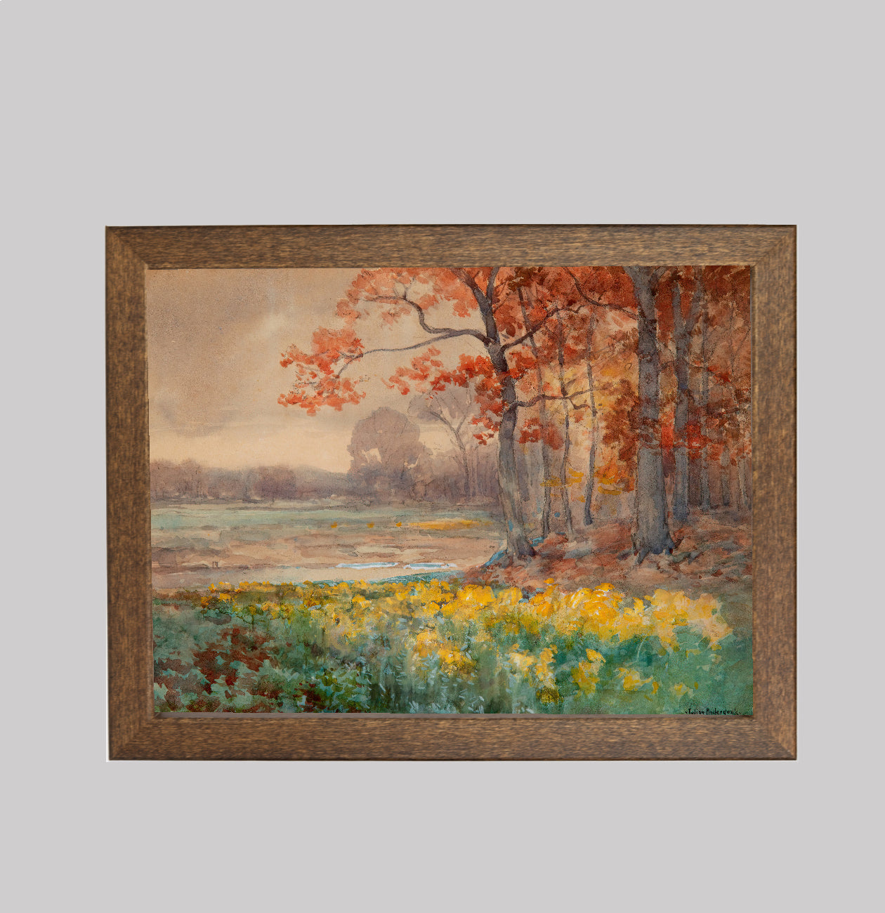 Yellow Flowers on a Grey Day