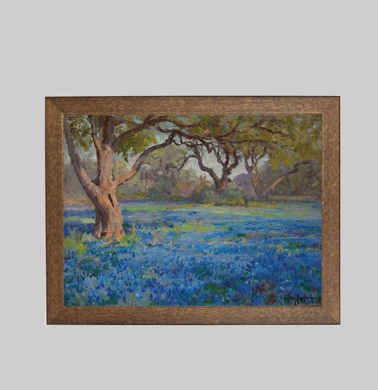 A Field of Blue Bonnets