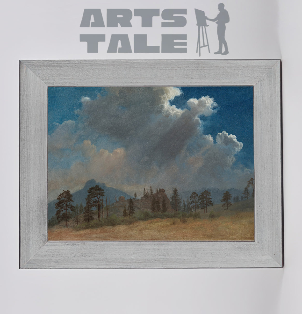 Fir Trees and Storm Clouds