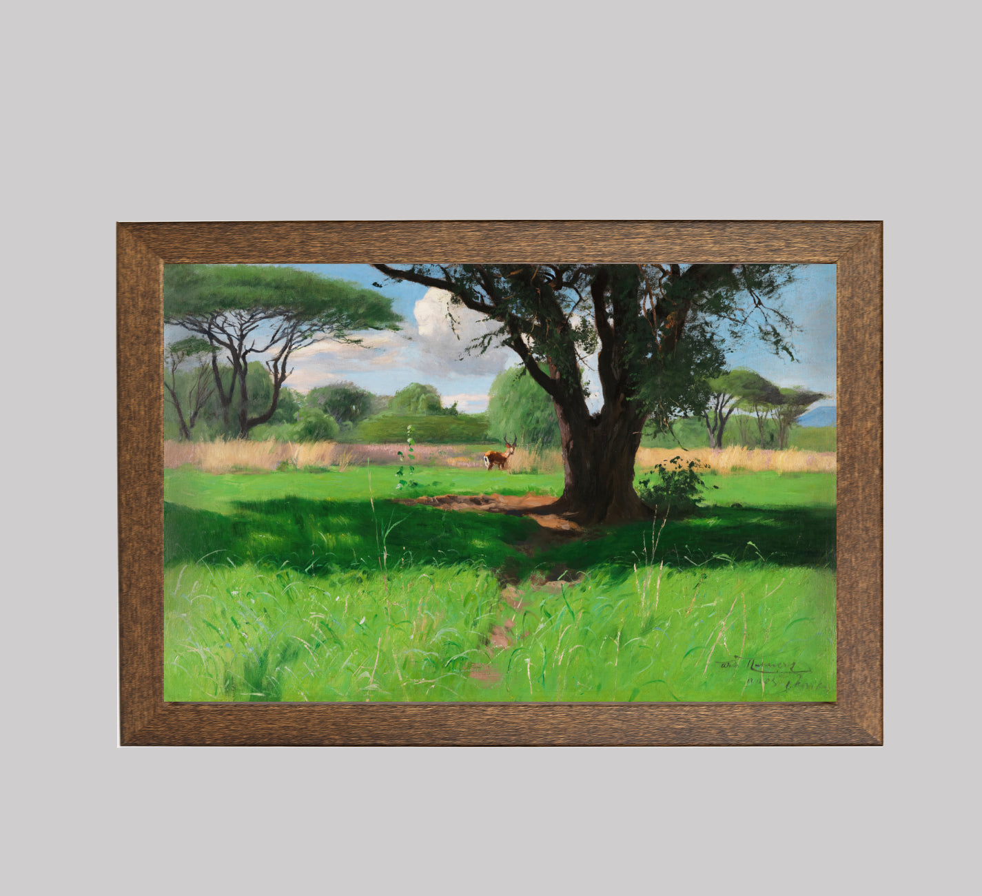 In the African Savannah