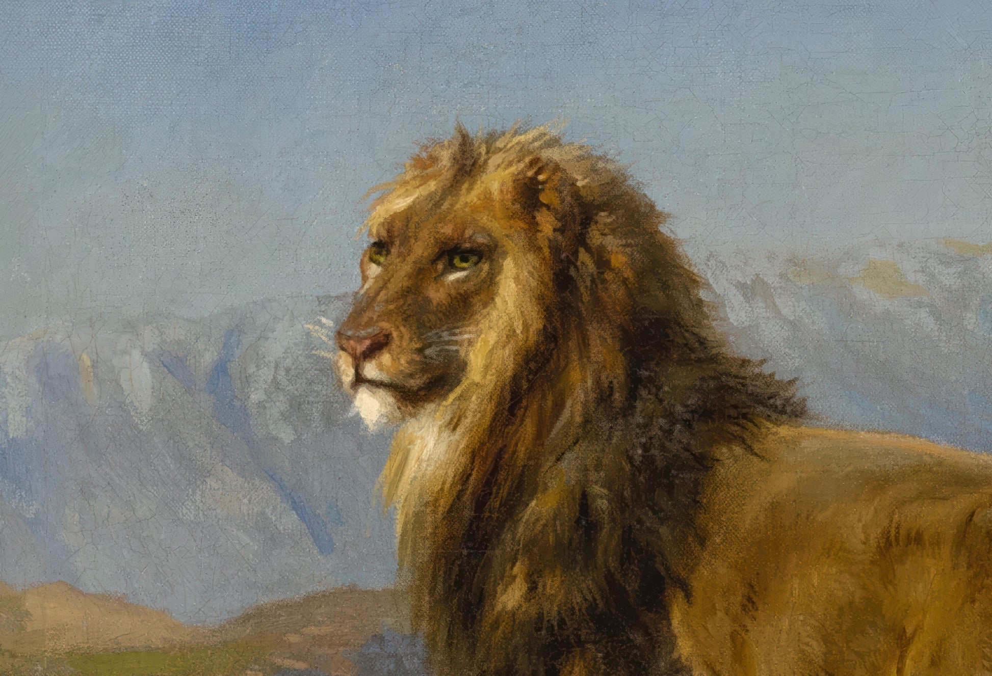 Lion in a Mountainous Landscape