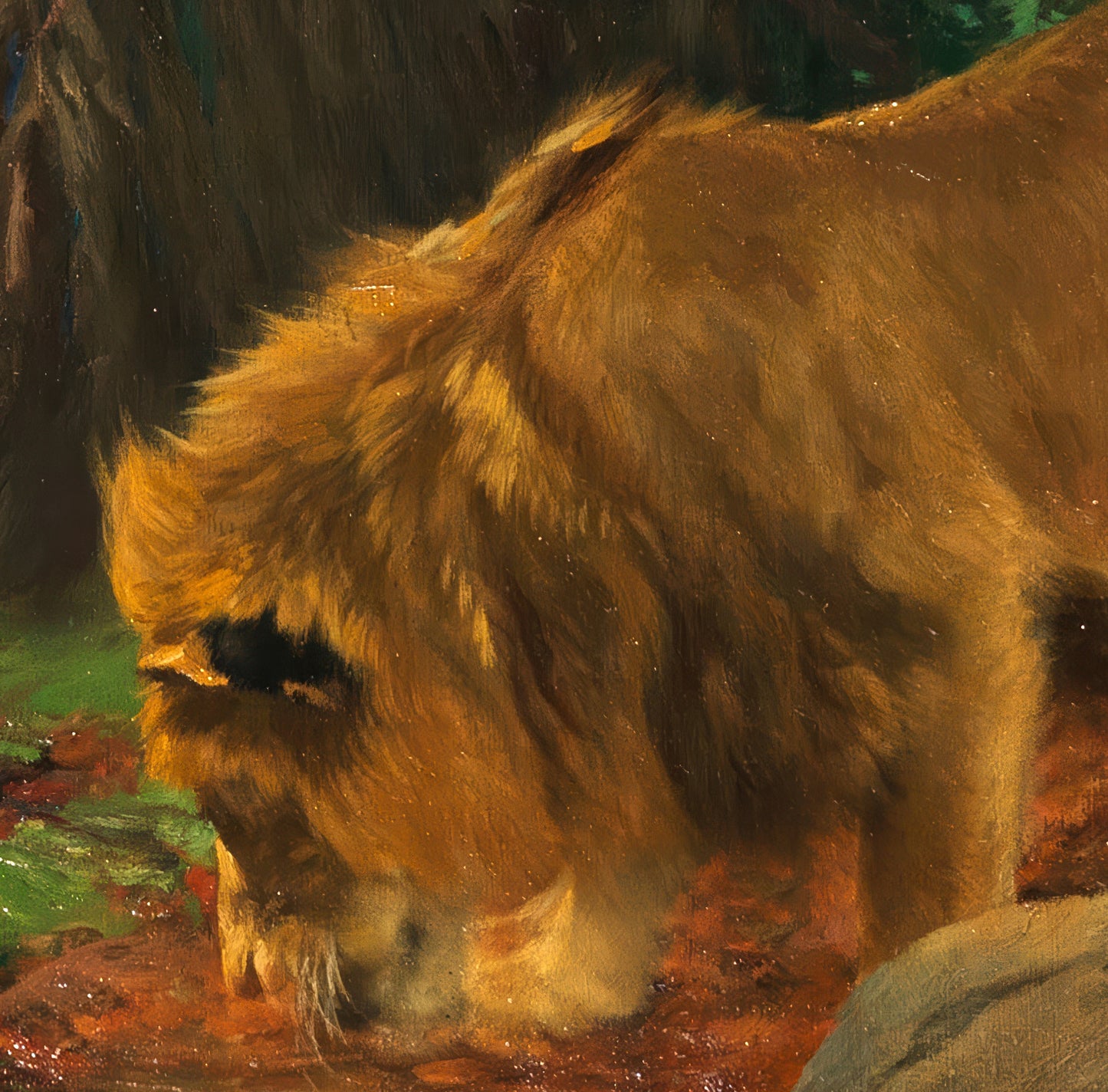 Lions at the Jungle Stream