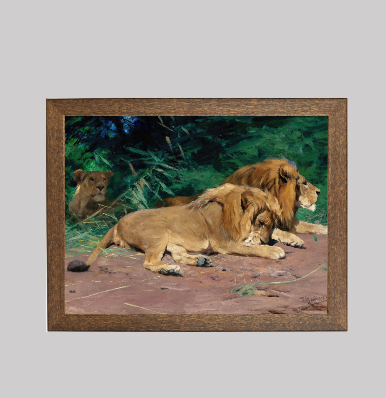 Lions in Rest