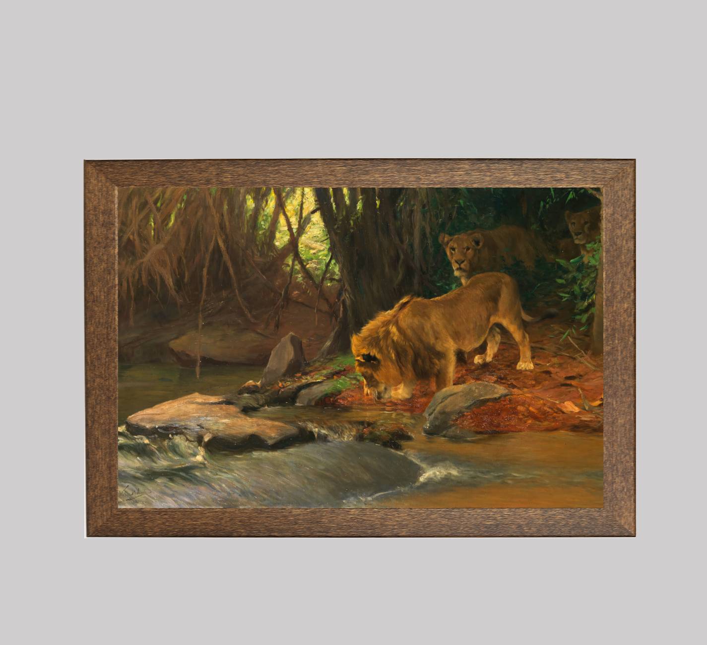 Lions at the Jungle Stream