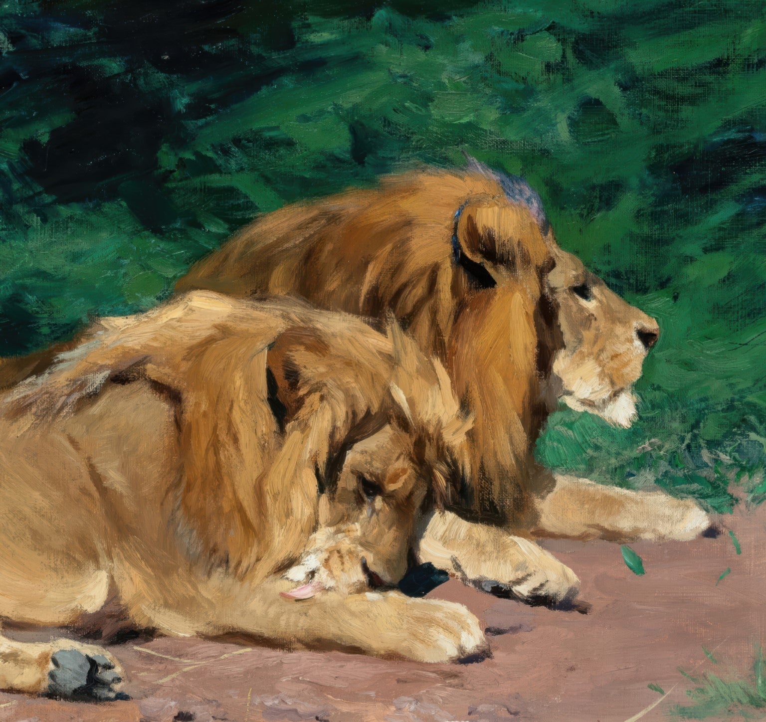 Lions in Rest