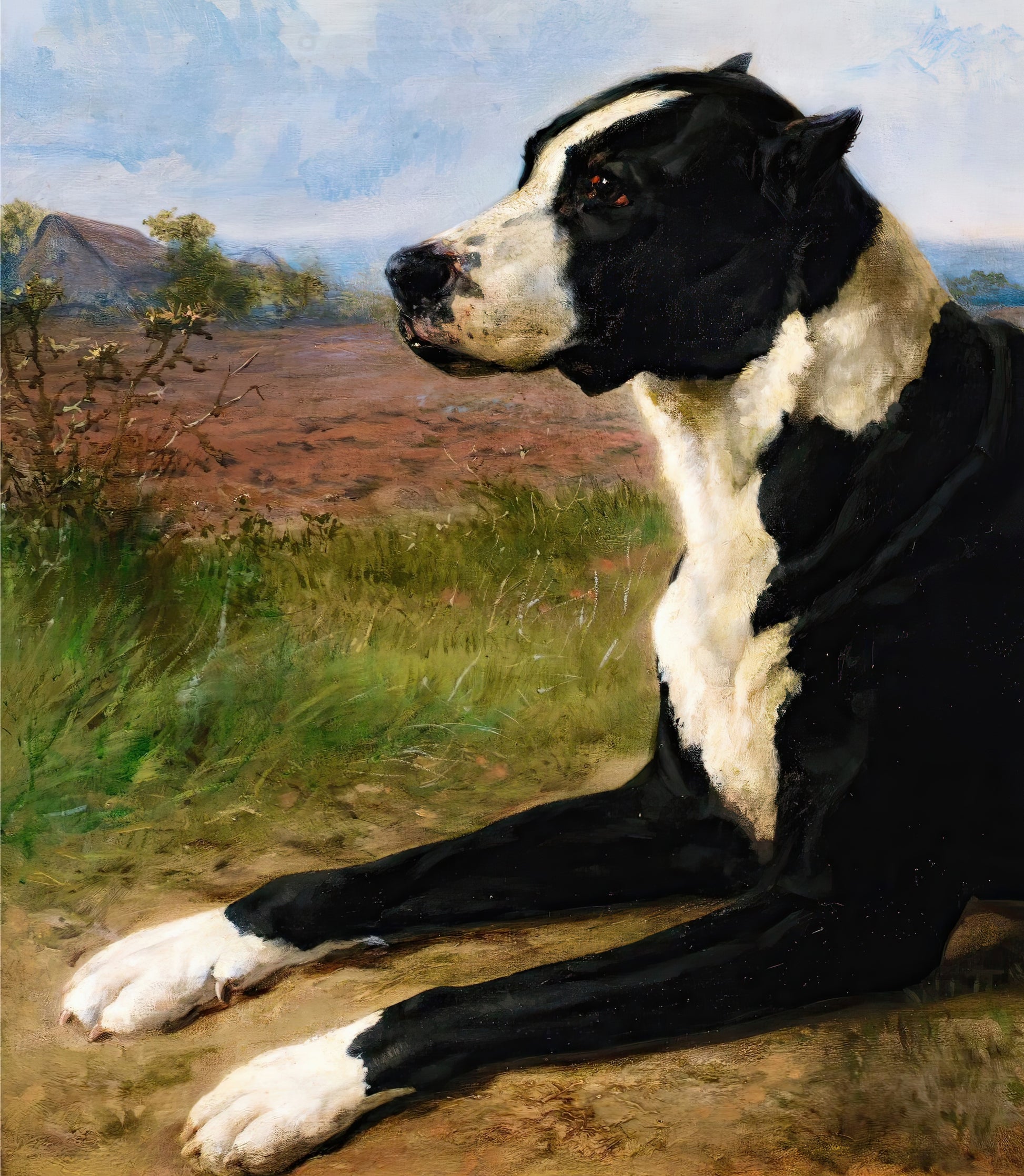 Portrait of a Mastiff-Labrador