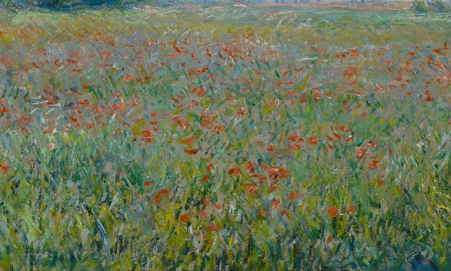 Poppy Field