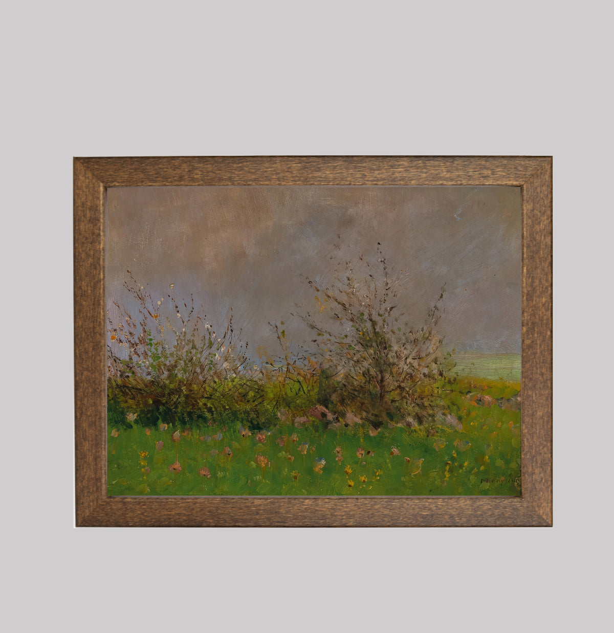 A Flower Meadow
