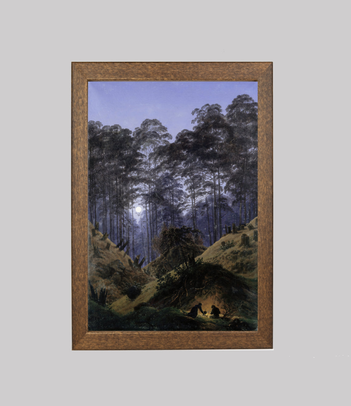 Inside the Forest in the Moonlight