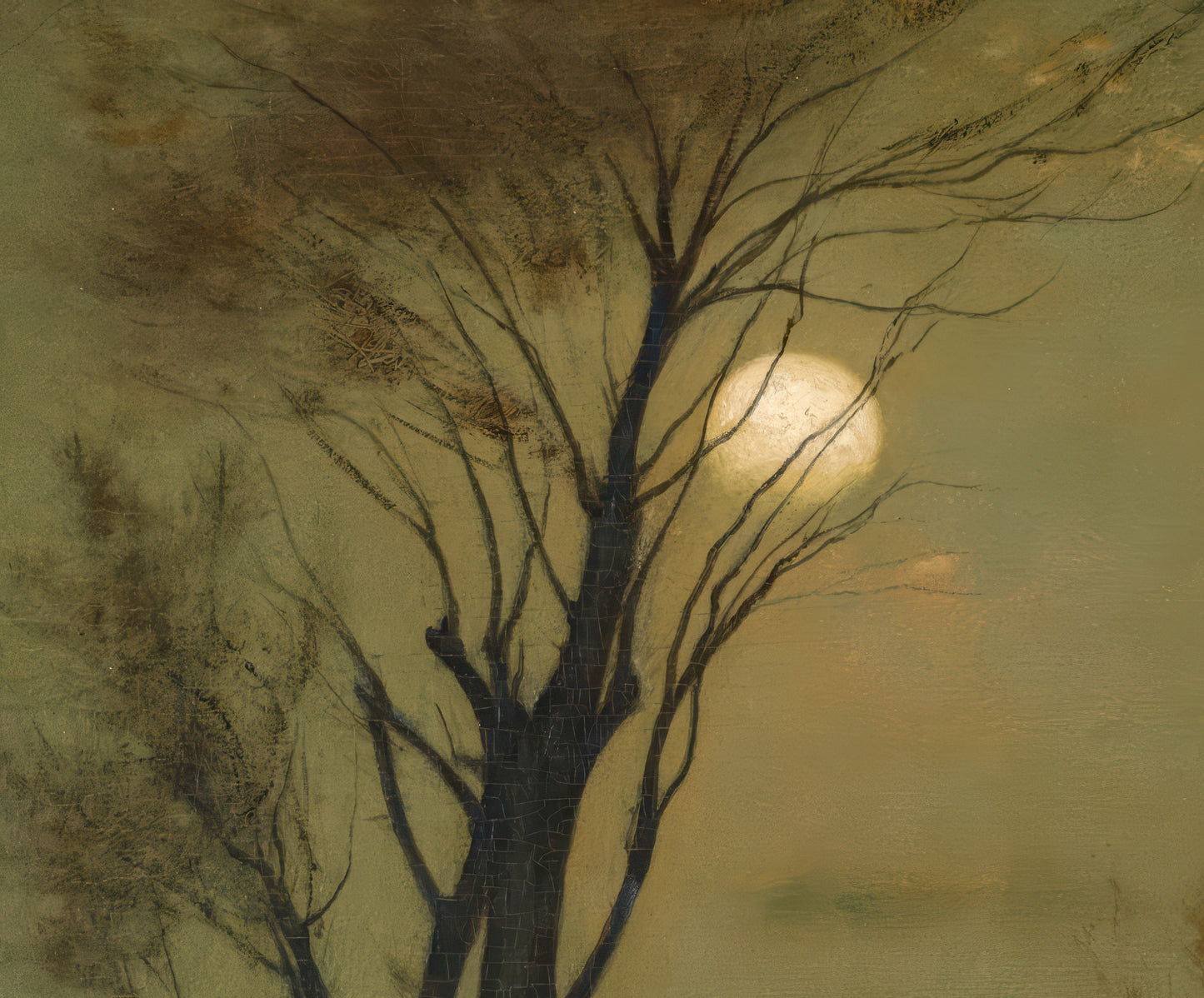 Moonlight in Virginia