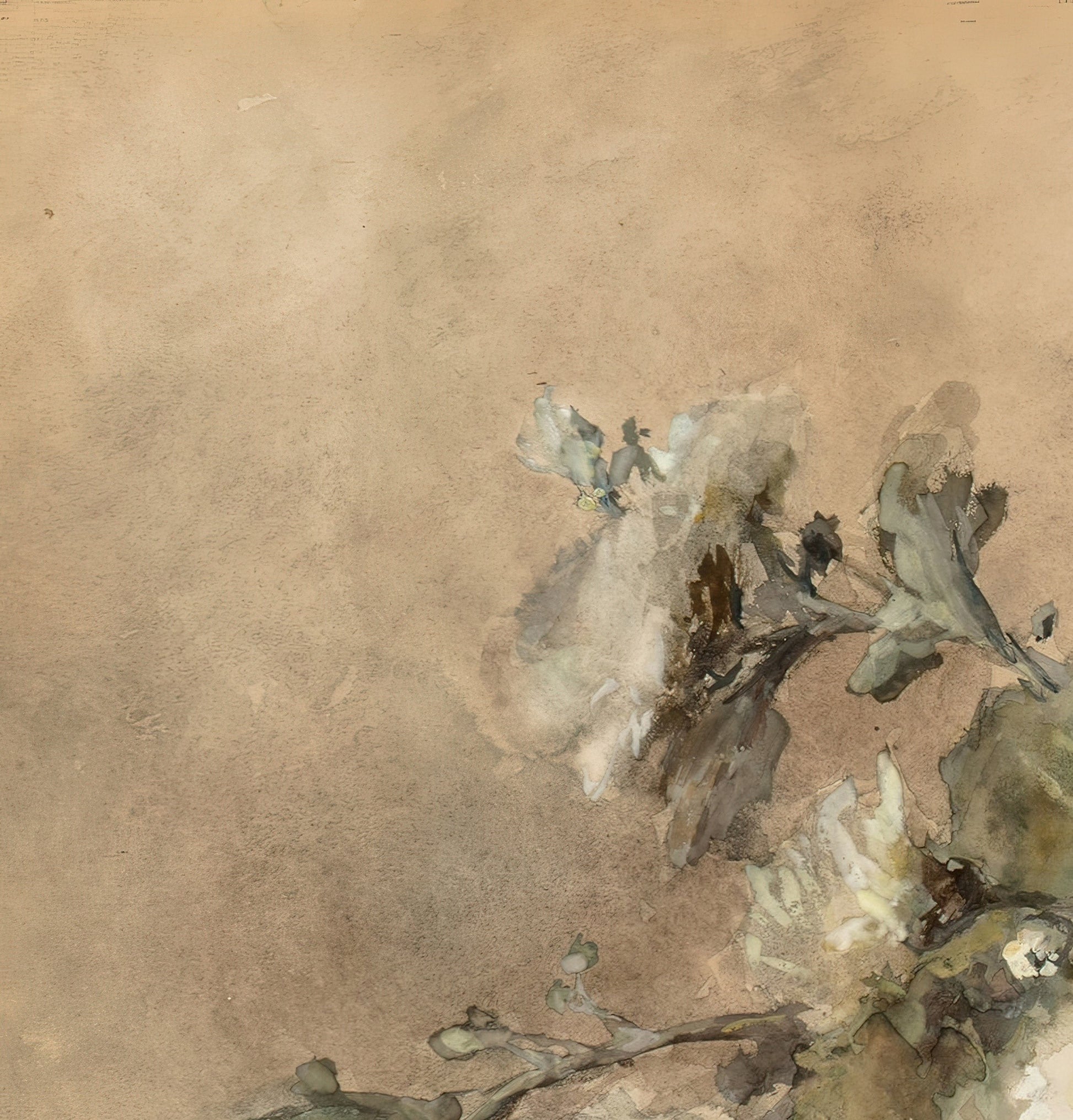 A Spray of White Chrysanthemums on a Stone Ledge