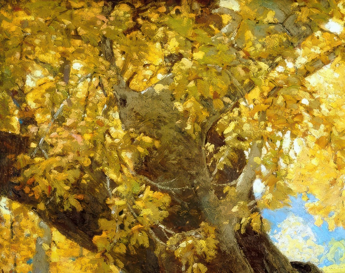 Orange County Park in Autumn