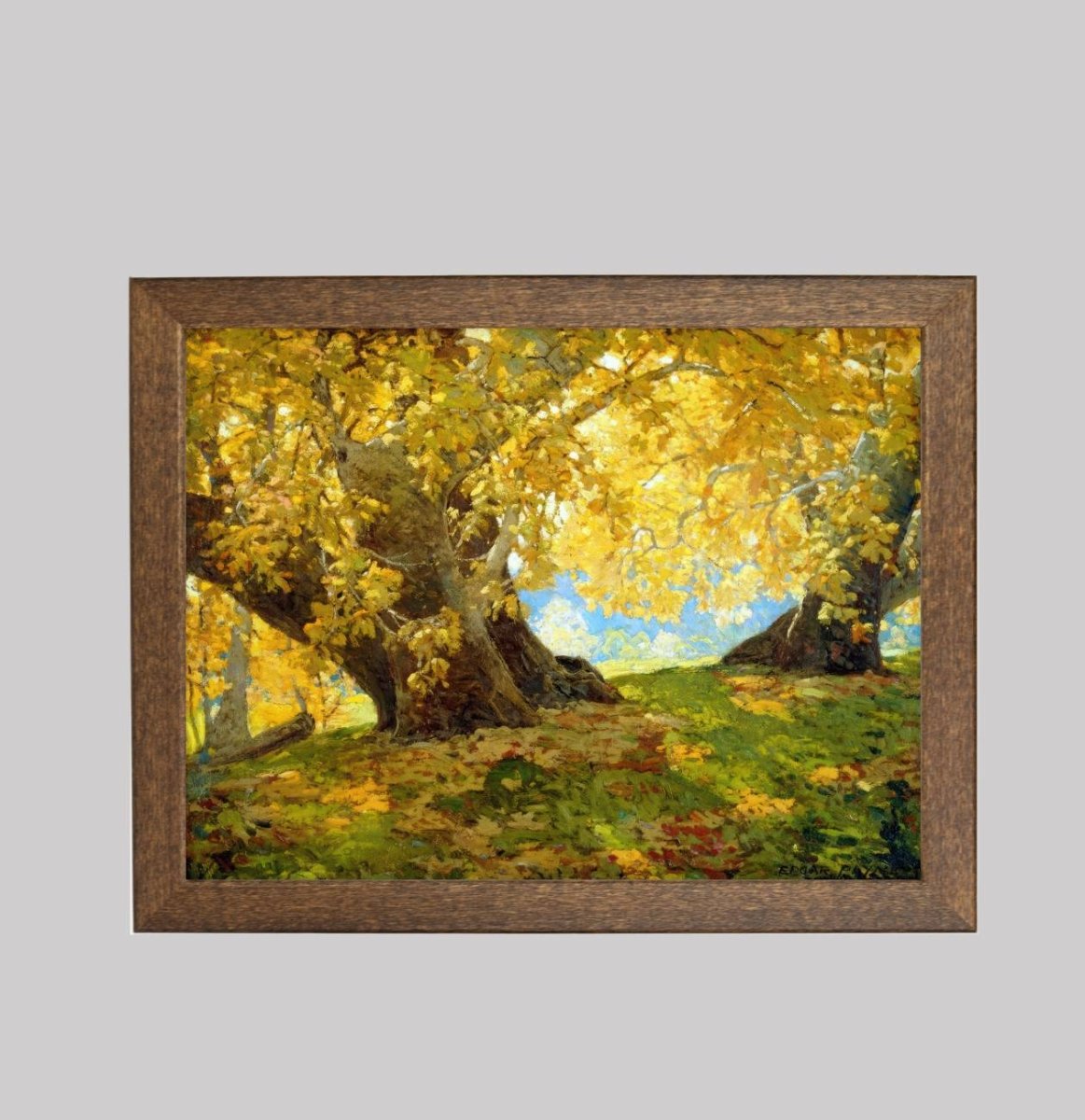 Orange County Park in Autumn