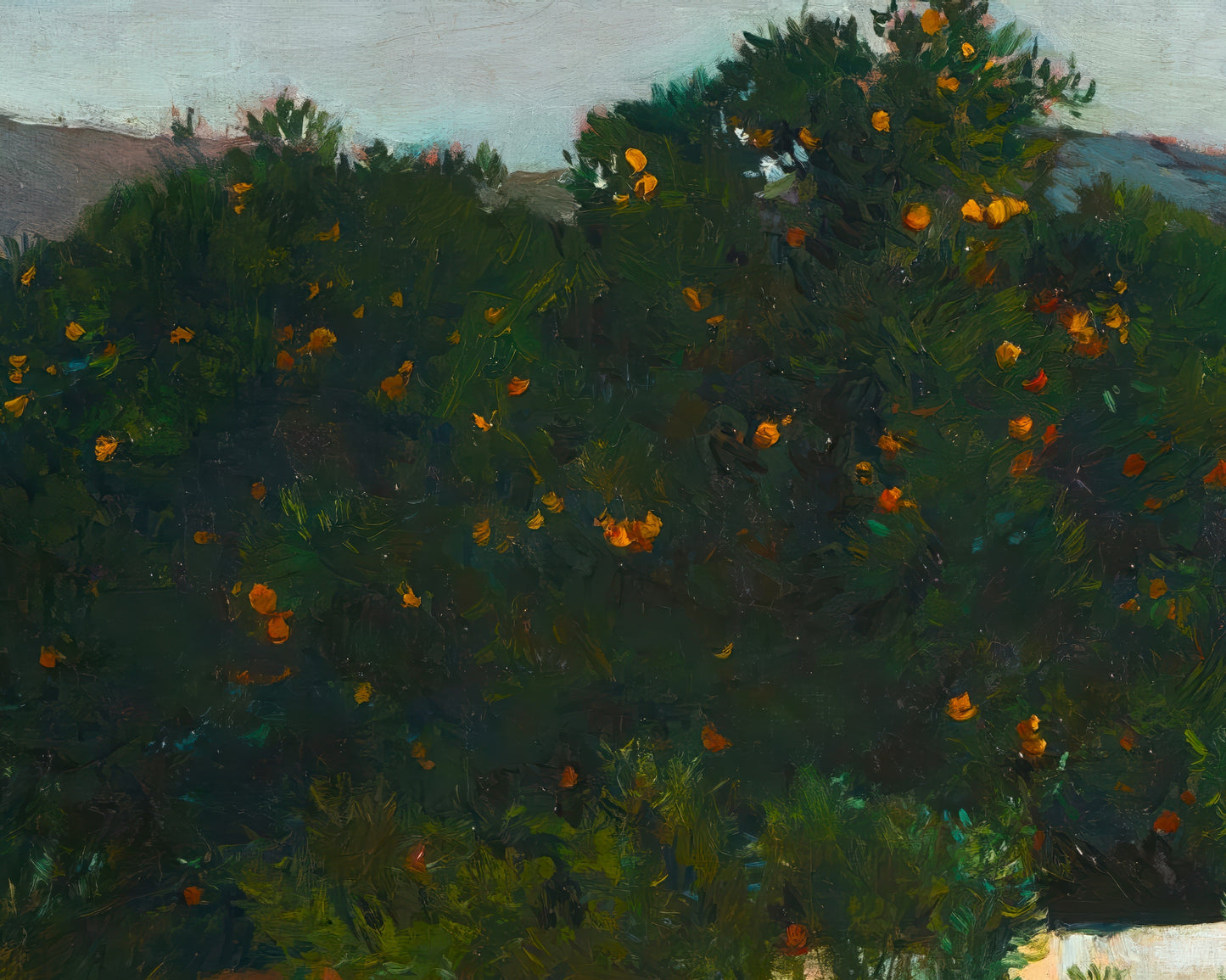 Orange Trees, Valencia