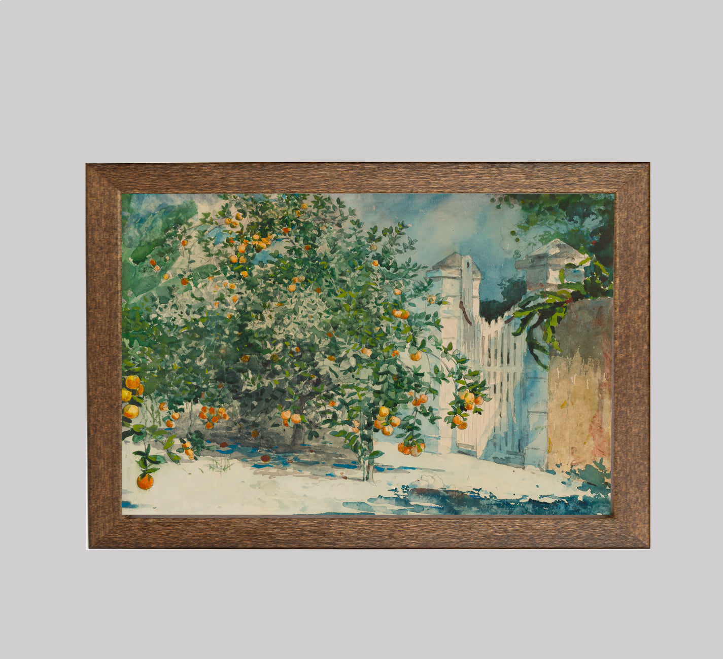 Orange Trees and Gate