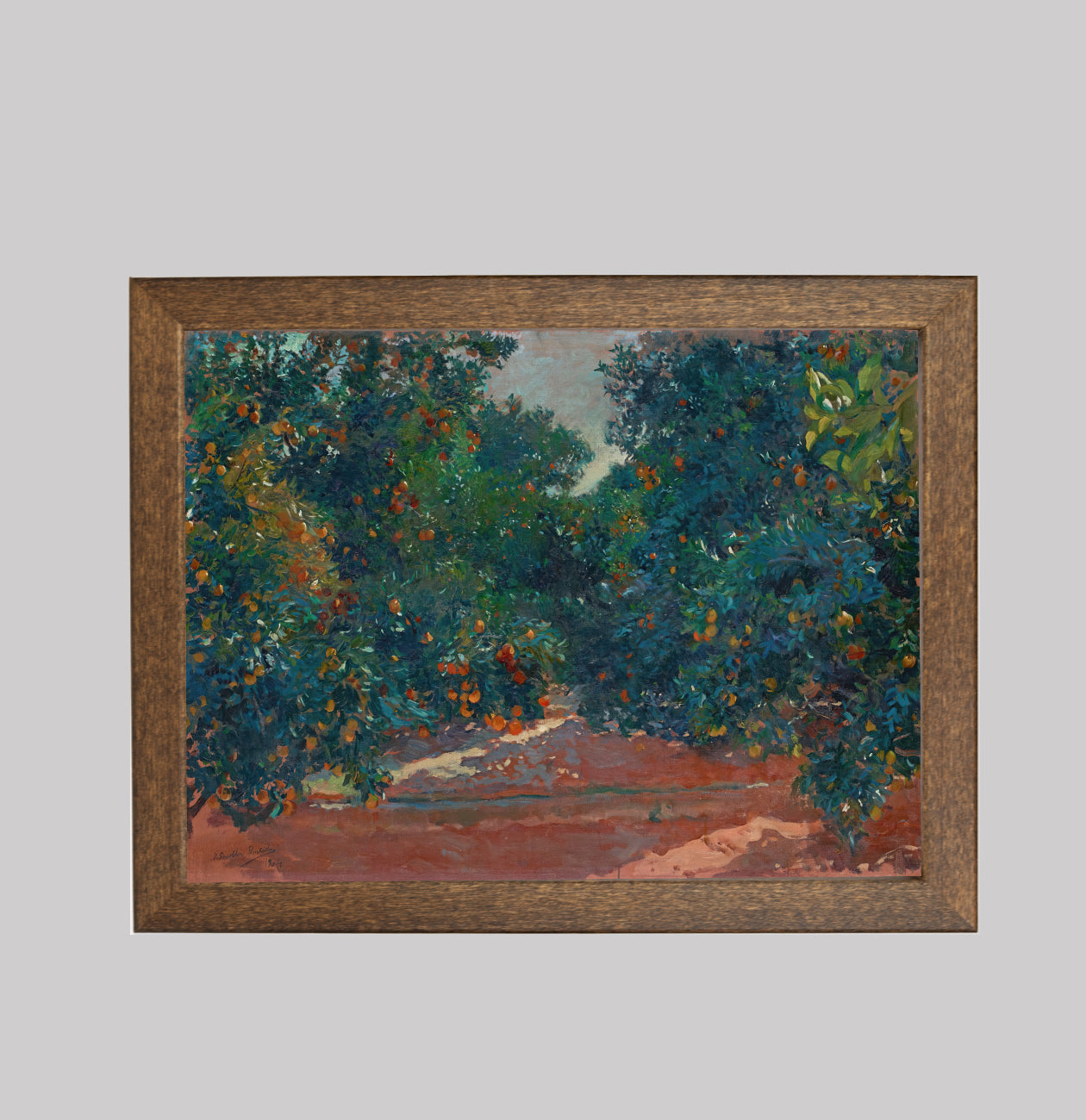 Orange Trees in Alcira