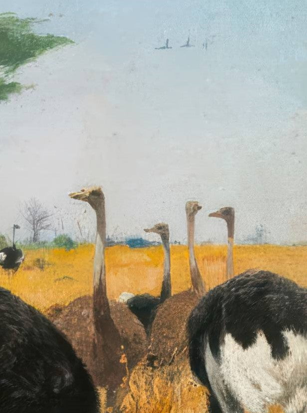 Ostrich Herd