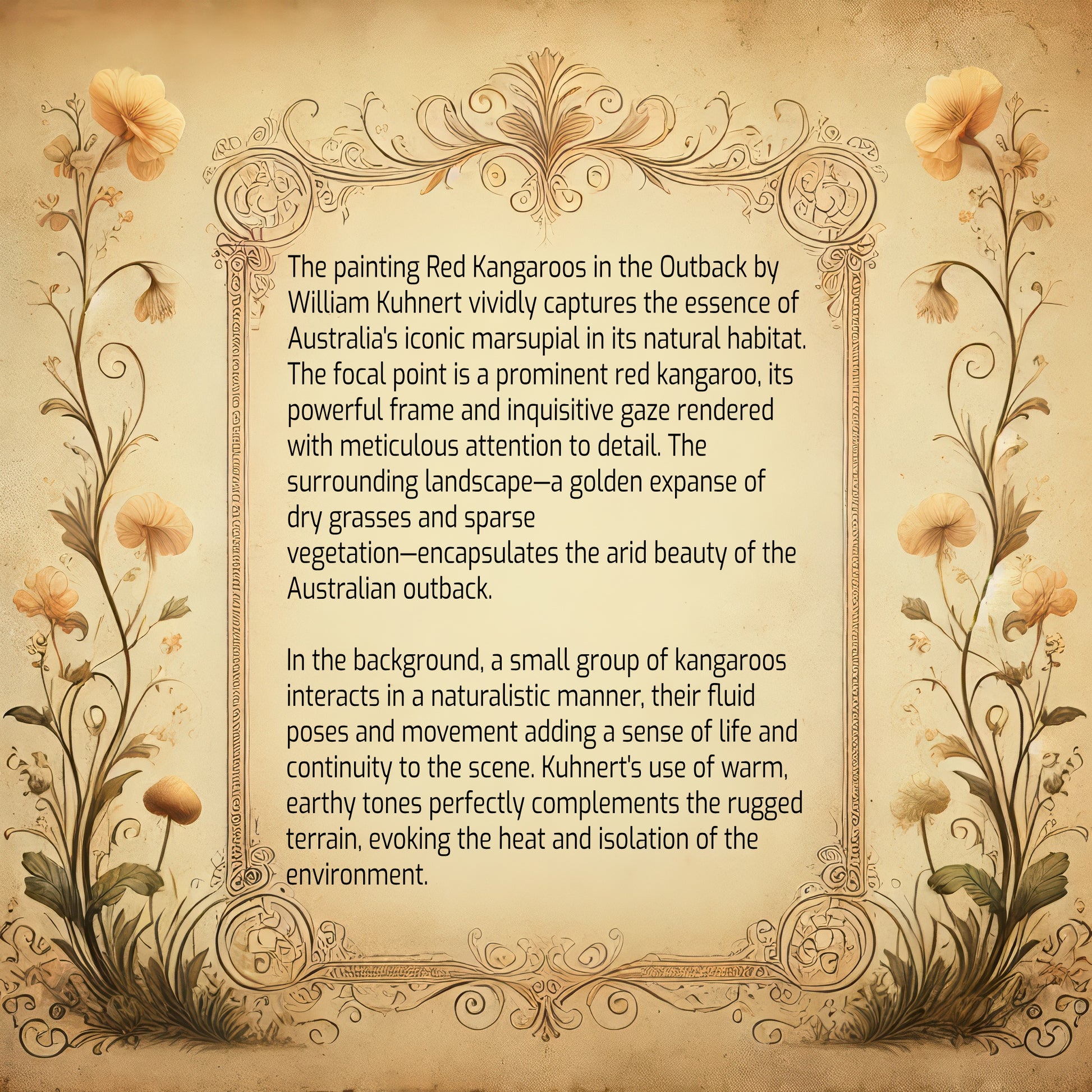 Red Kangaroos in the Outback