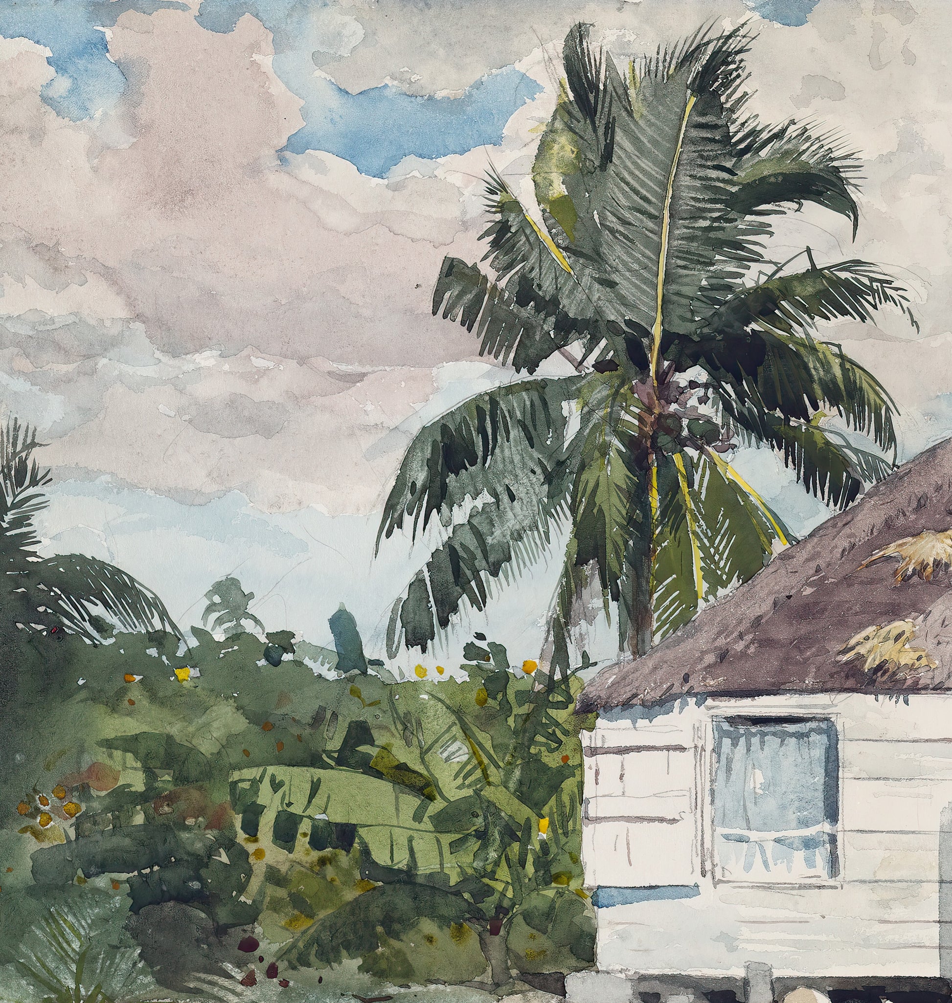 Native Hut at Nassau