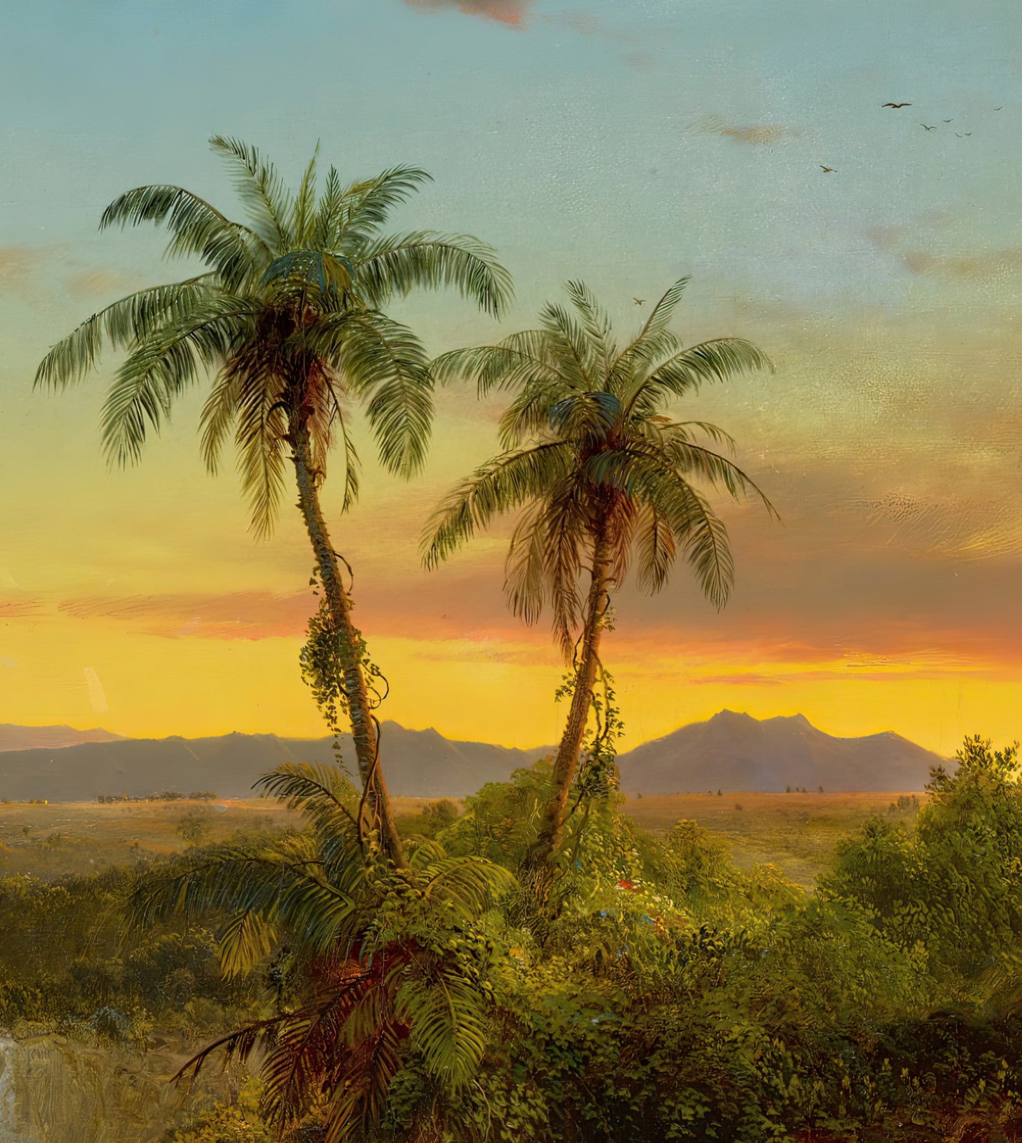 South American Landscape