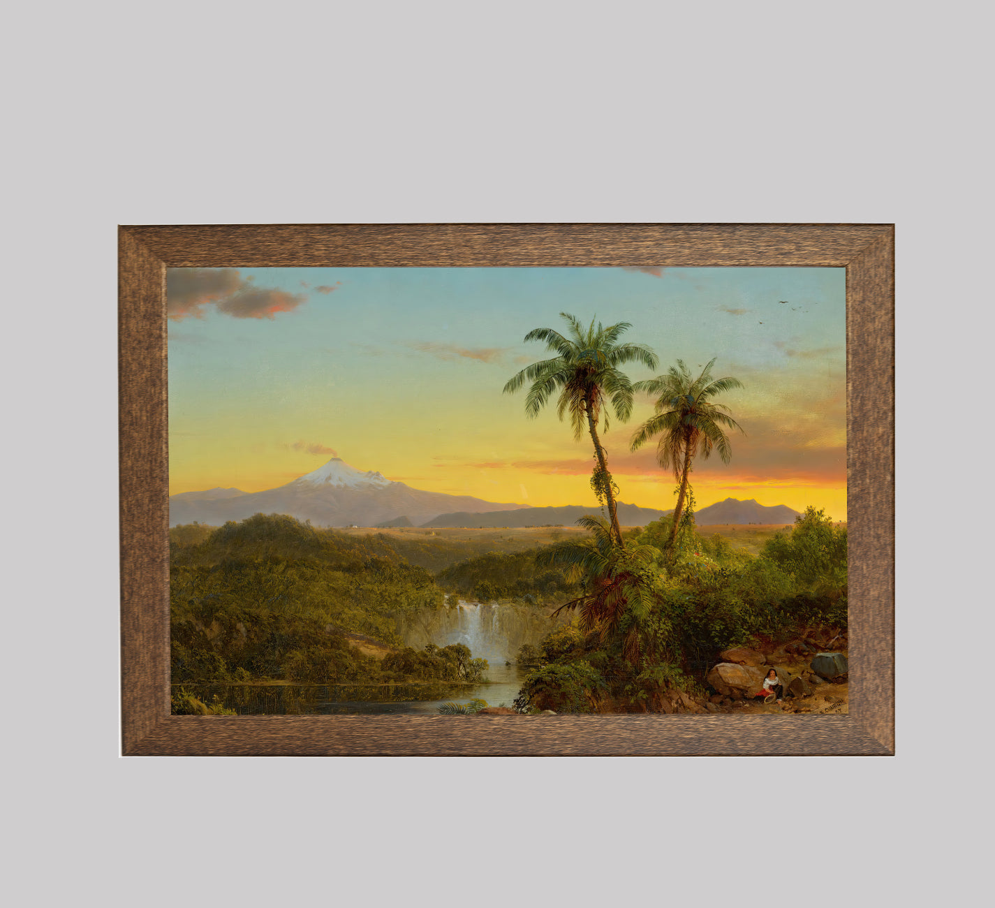 South American Landscape