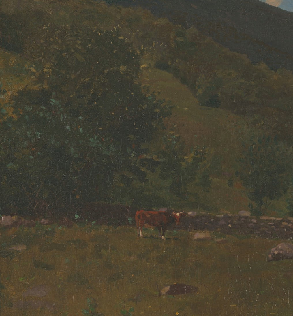 Crossing the Pasture