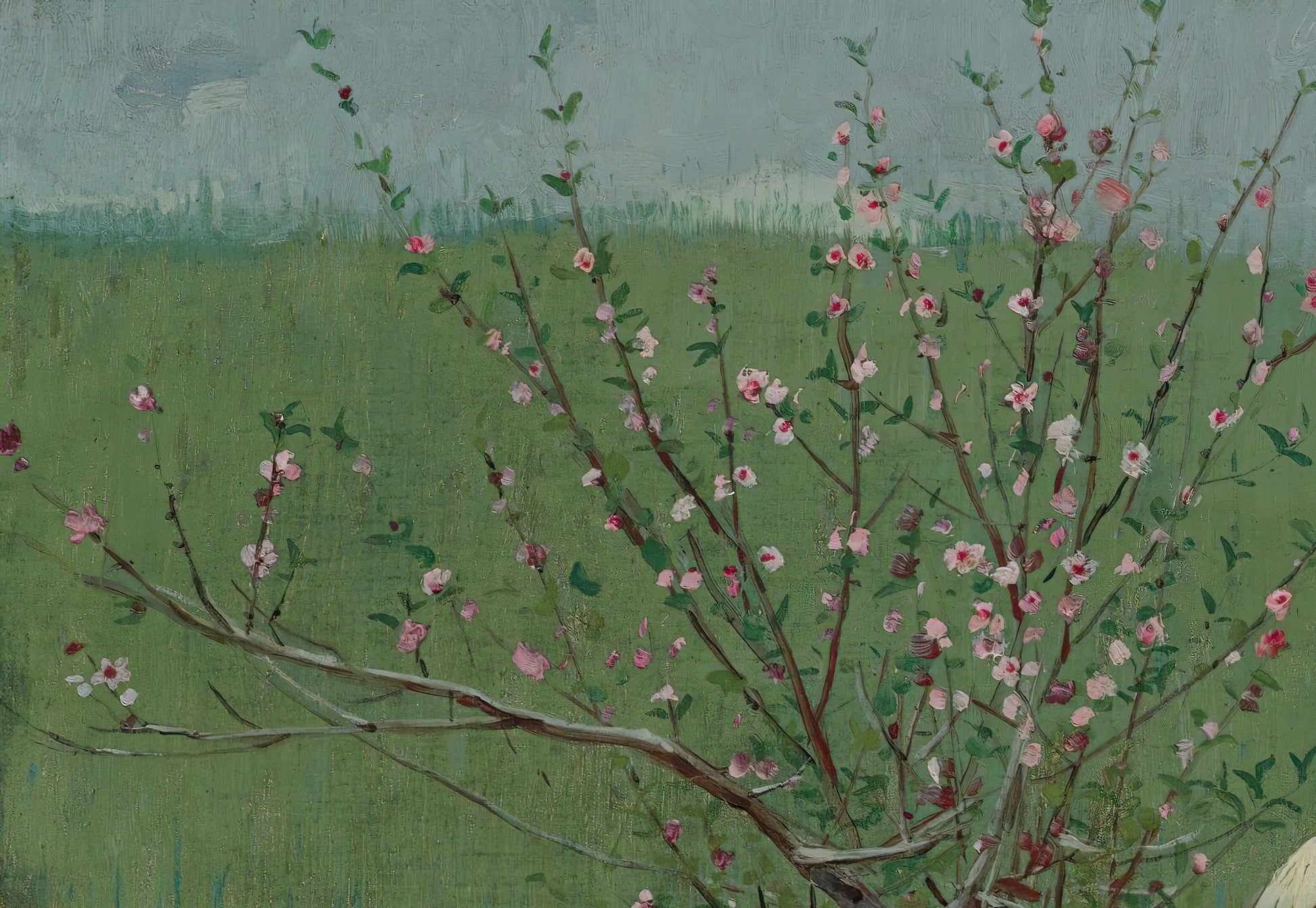 Peach Blossoms